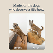 Lapside dog stairs lightweight foam material closeup