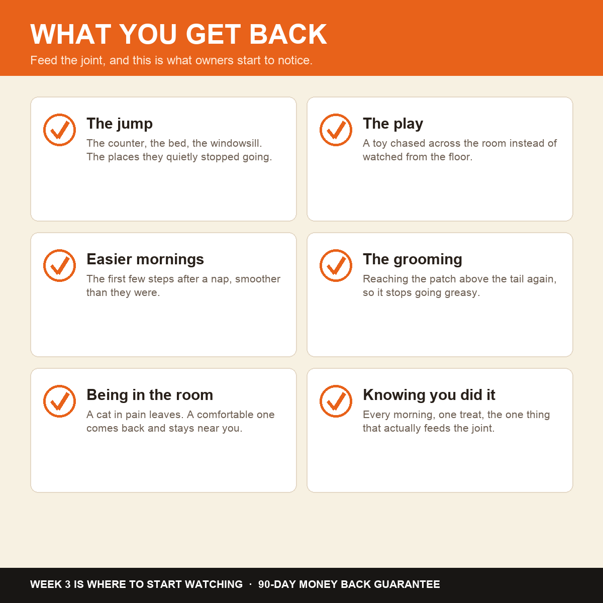 What you get back: the jump, the play, easier mornings