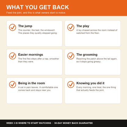 What you get back: the jump, the play, easier mornings