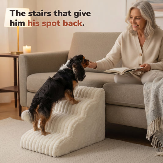 Senior dog climbing Lapside stairs to reach the sofa