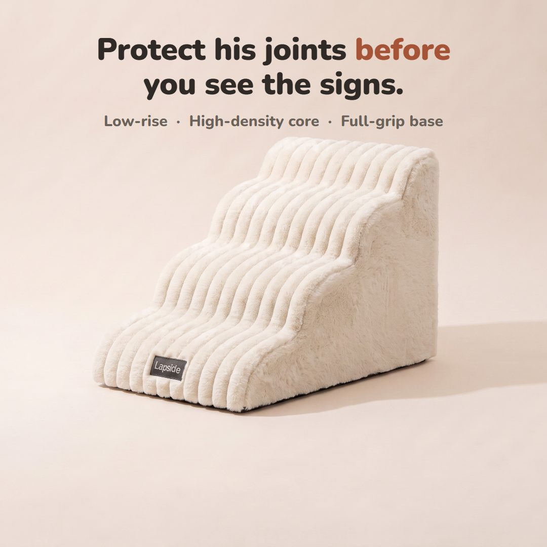 Lapside foam dog stairs, key benefits overview