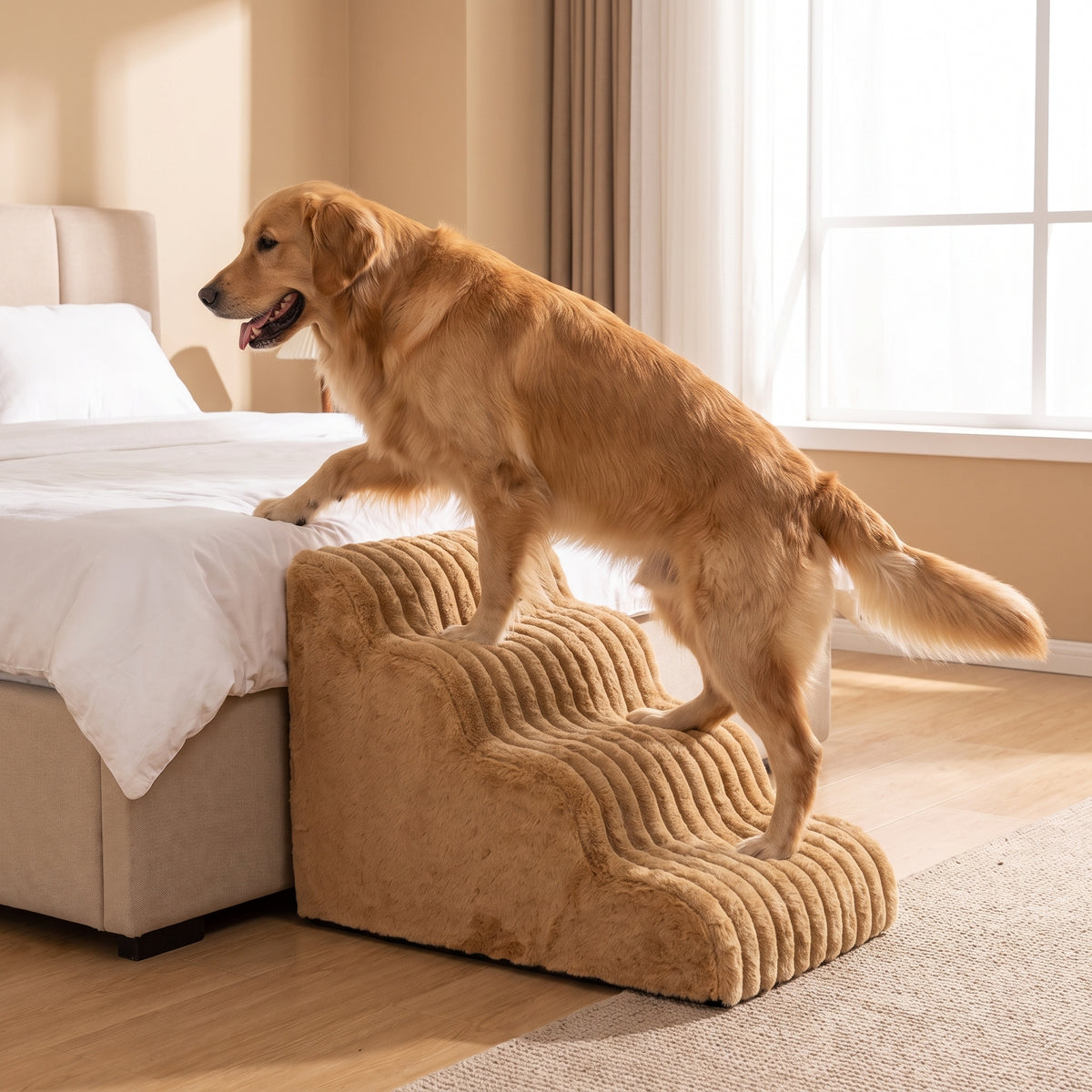 Golden retriever climbing Lapside foam stairs, steps holding firm under his weight