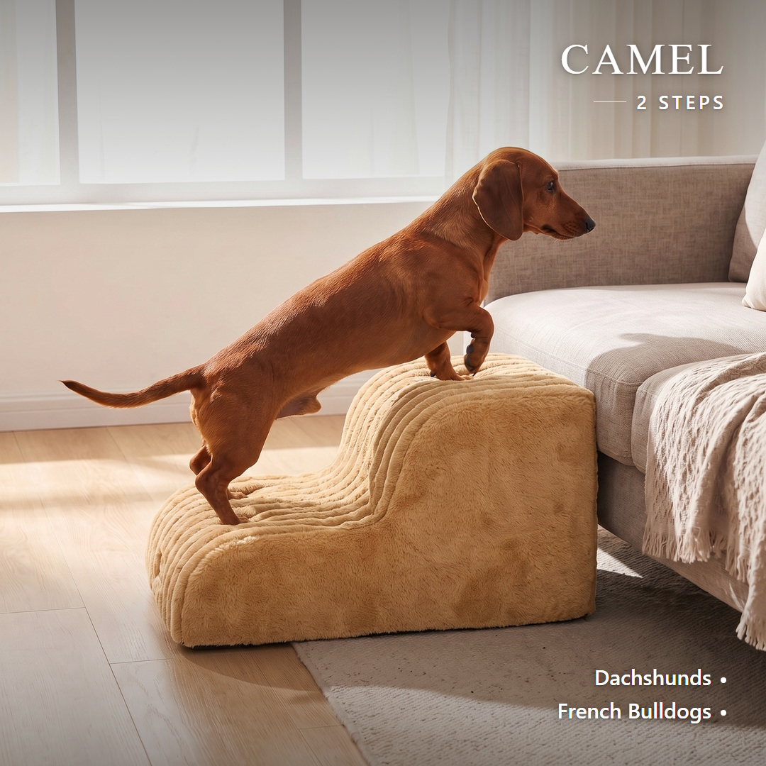 Lapside foam dog stairs, Camel, 2-Step