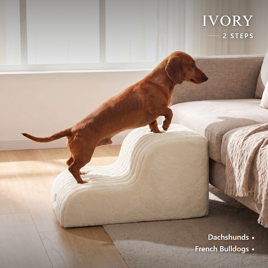 Lapside foam dog stairs, Ivory, 2-Step