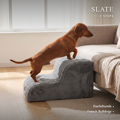 Lapside foam dog stairs, Slate, 2-Step