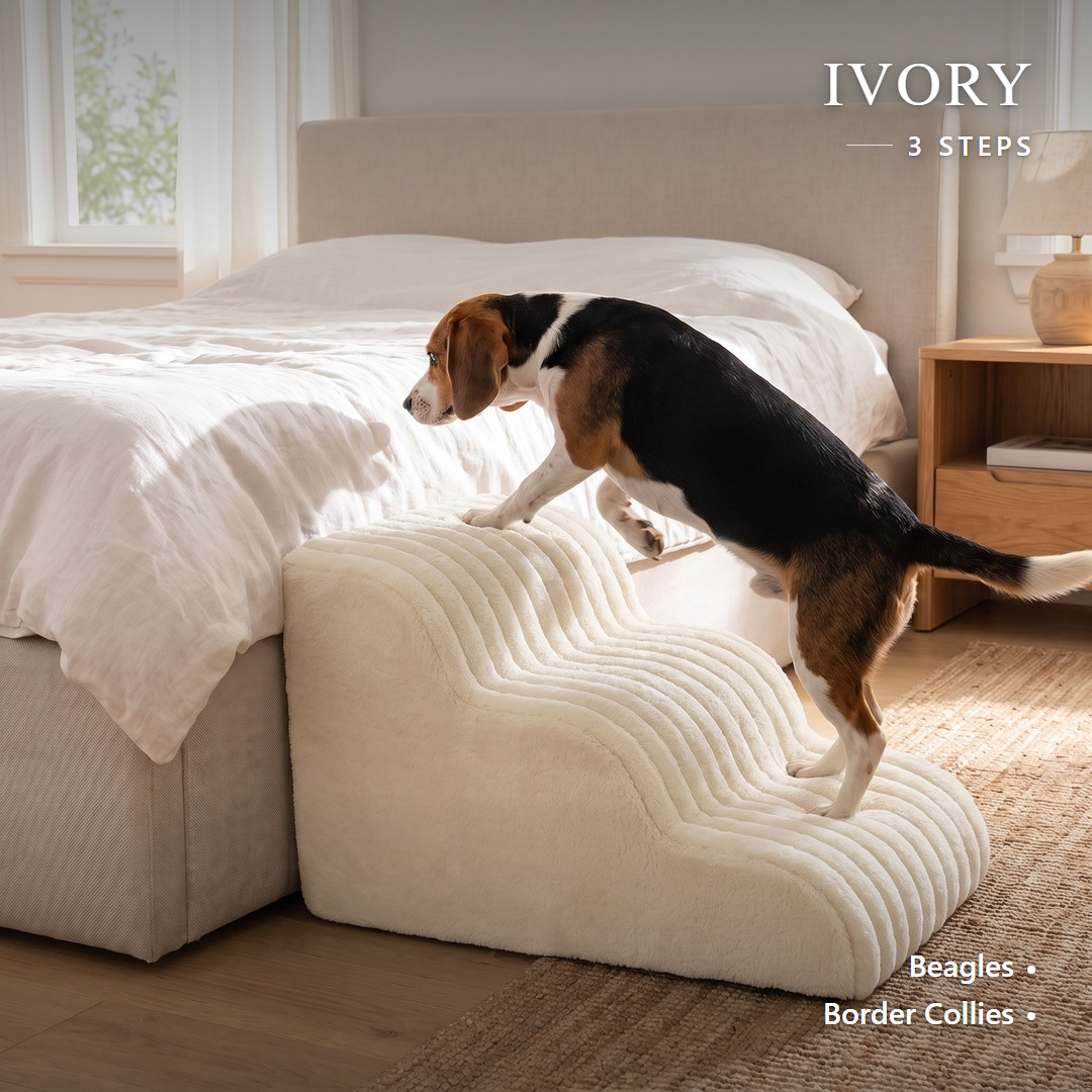 Lapside foam dog stairs, Ivory, 3-Step