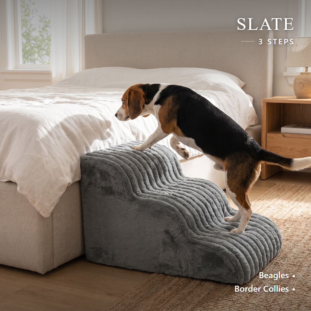 Lapside foam dog stairs, Slate, 3-Step