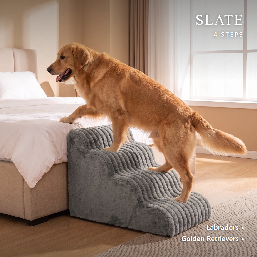 Lapside foam dog stairs, Slate, 4-Step